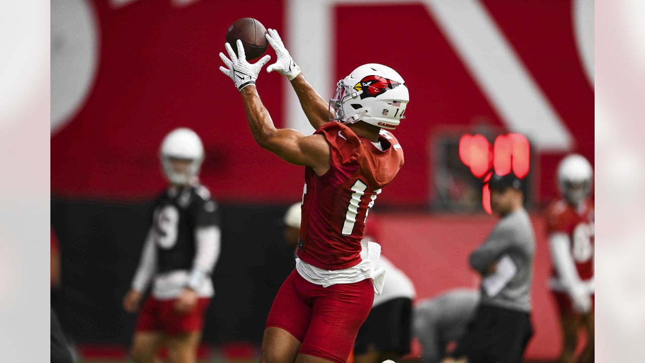 Arizona Cardinals running back James Conner will have a bobblehead night in  hometown