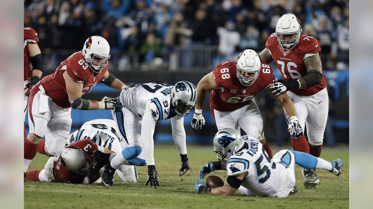 Highlights: Panthers crush Cardinals in 2015 NFC Championship game