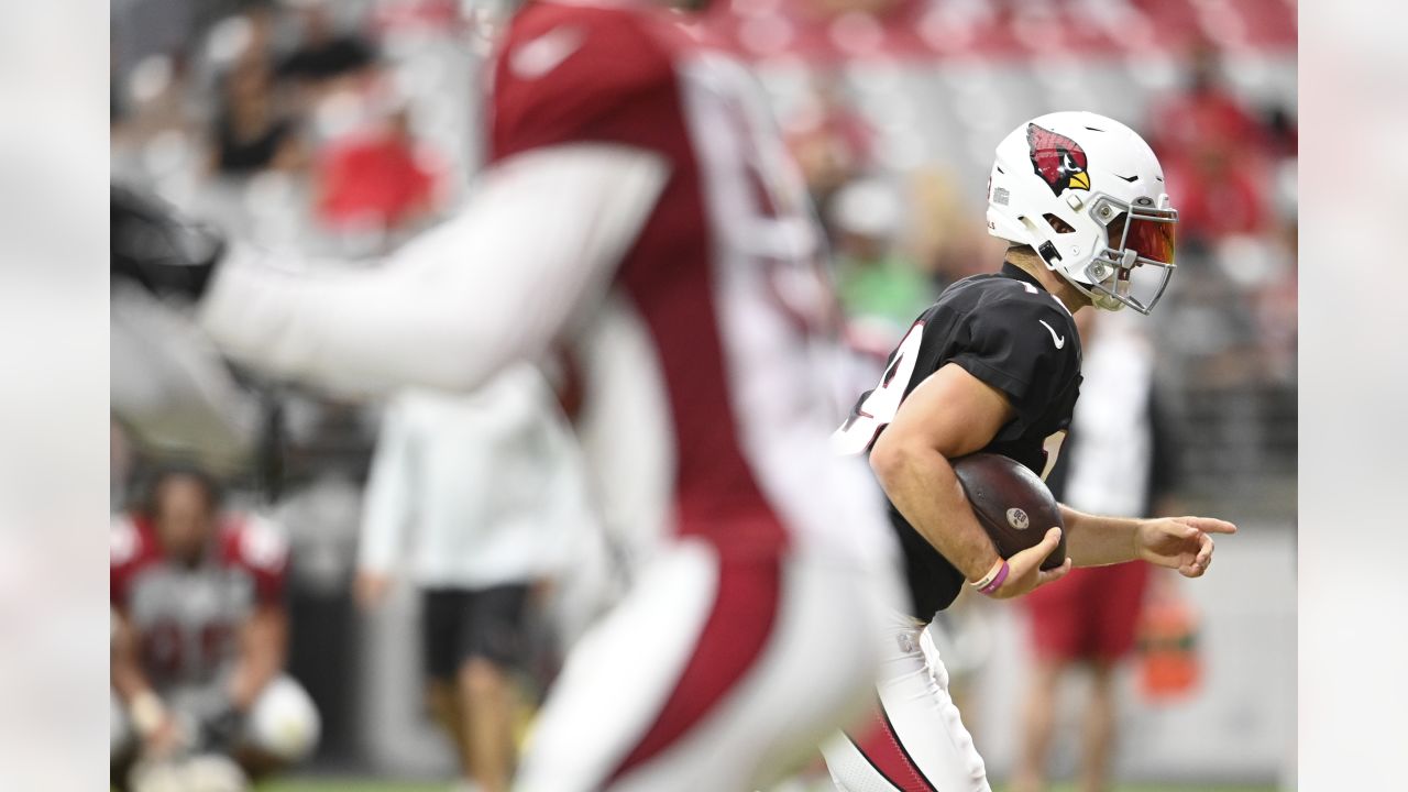 NFL Arizona Cardinals Football Team Training Camp Editorial Stock Image -  Image of bruce, american: 32804124