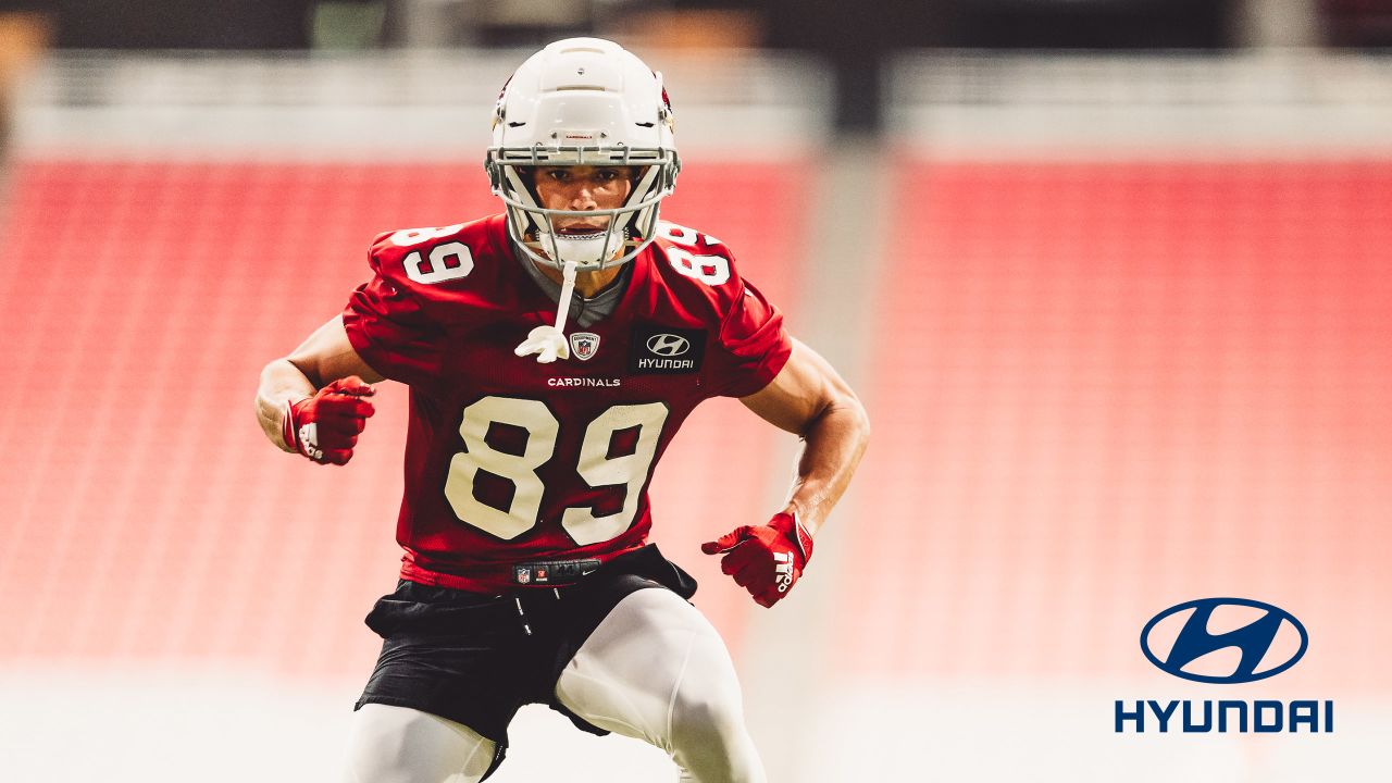 Cardinals' WR Andy Isabella sets bar high for rookie season