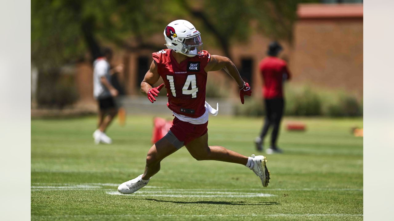 Photos: Arizona Cardinals 2023 offseason