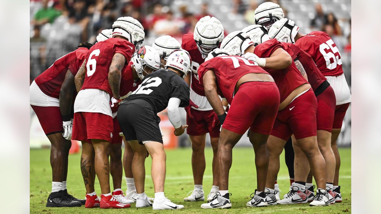 Arizona Cardinals quarterback Colt McCoy puts his helmet on during NFL  football training camp practice at State Farm Stadium Friday, July 28,  2023, in Glendale, Ariz. (AP Photo/Ross D. Franklin Stock Photo 