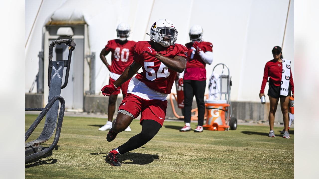 Marco Wilson, Cardinals Defense Readies For Niners' Scheme