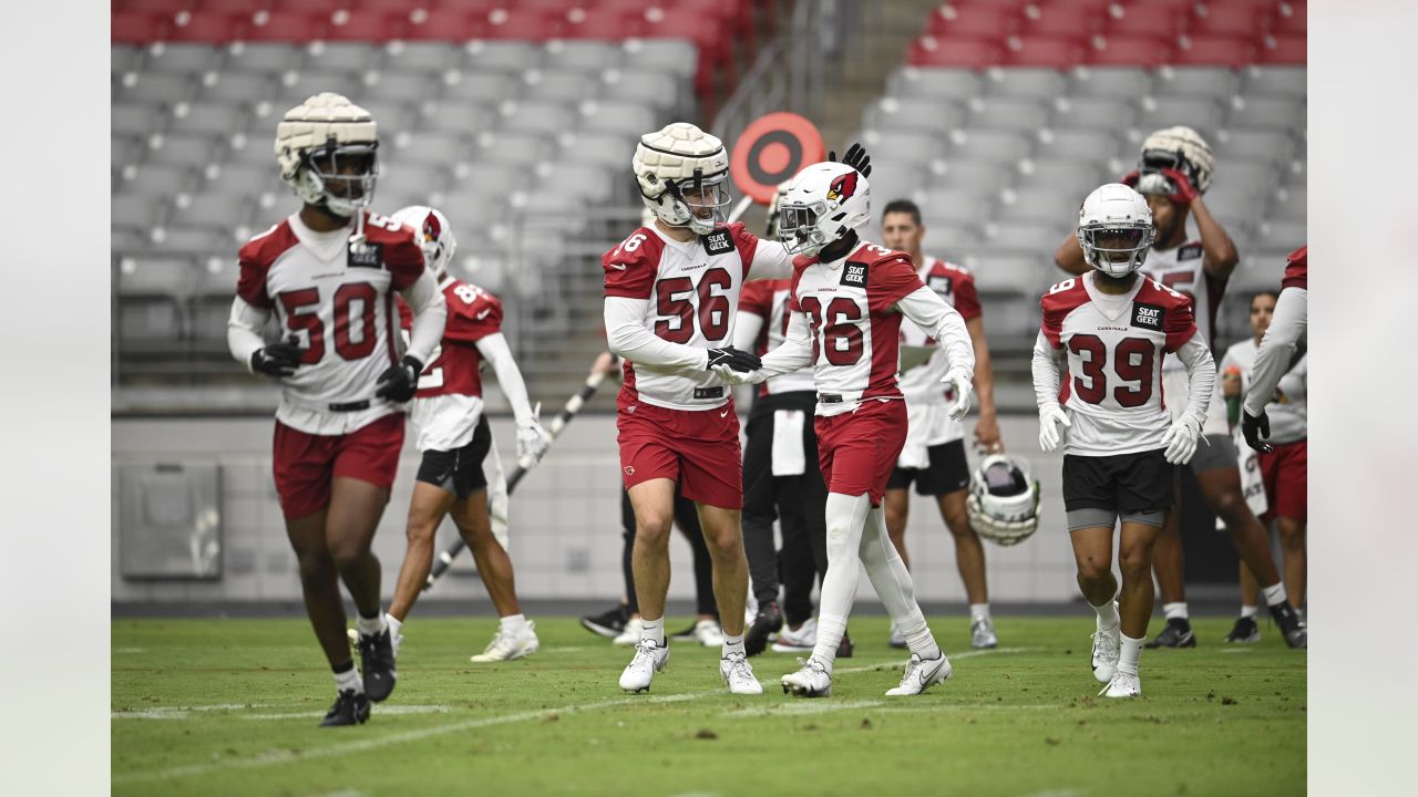 Talented group of running backs pushing each other in Cardinals camp