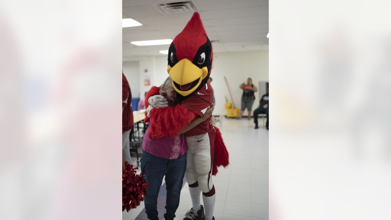 Arizona Cardinals Mascot Costume