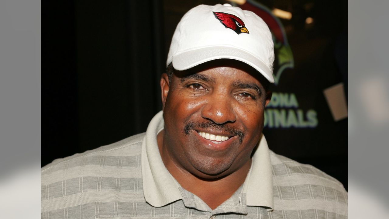 Career coach' Dennis Green, dead at 67, enjoyed helping players with  character issues and coaches advance – New York Daily News