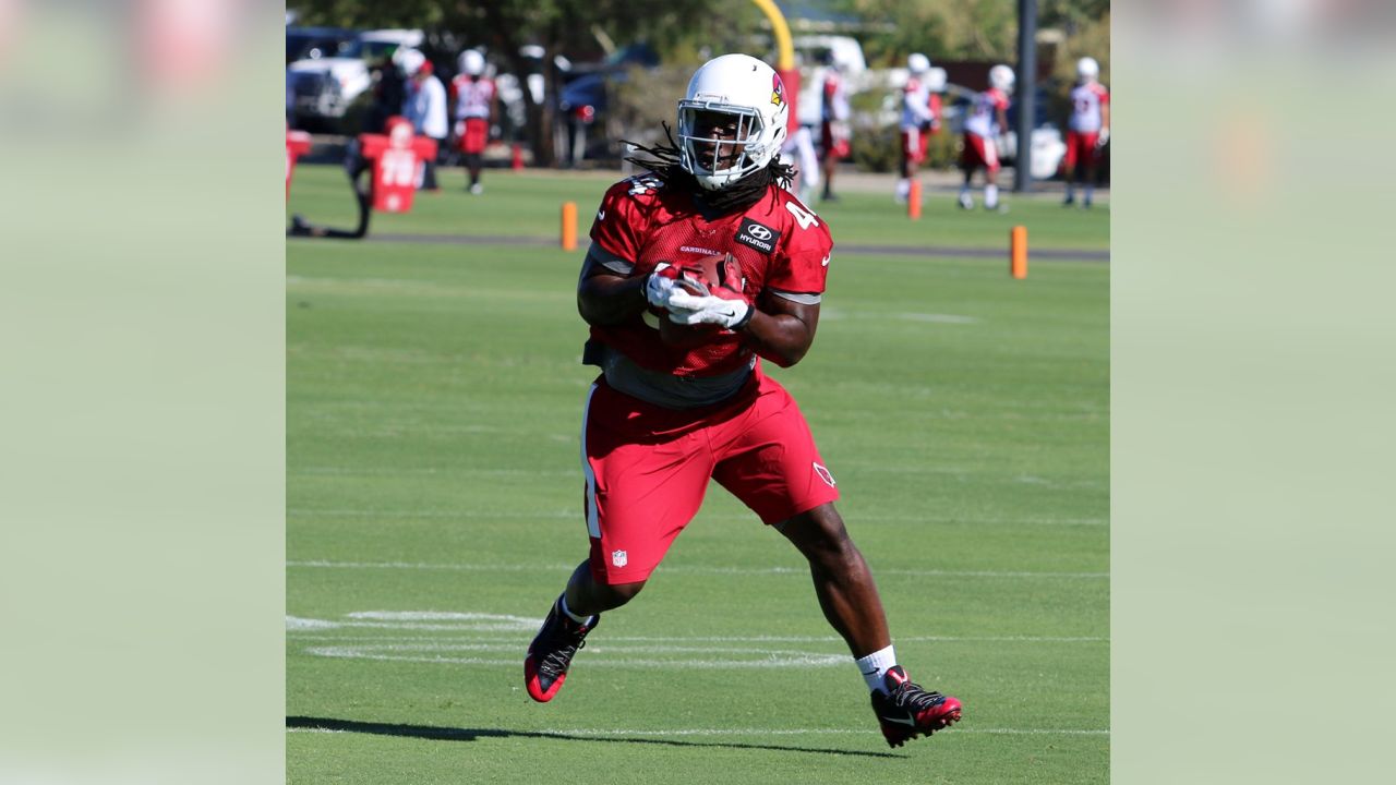 Arizona Cardinals offseason: Could Frostee Rucker get cut? - Revenge of the  Birds