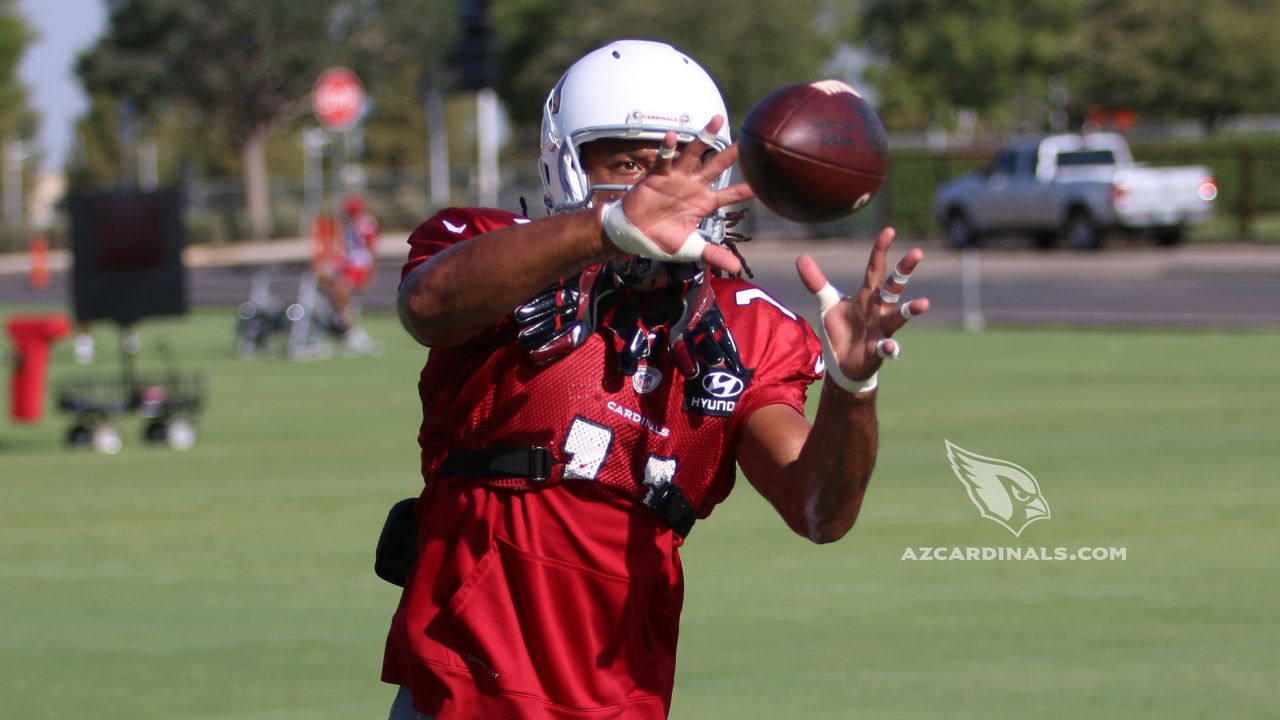 Larry Fitzgerald named to FWAA 75th anniversary team