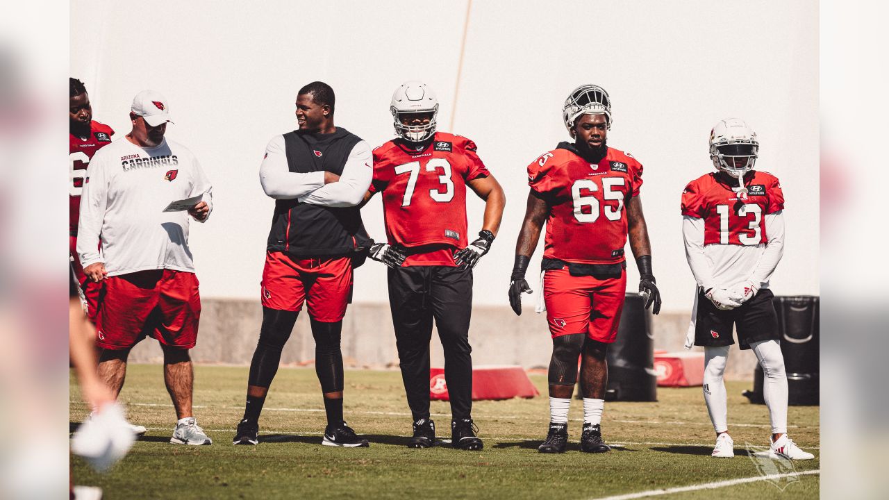 Arizona Cardinals center Lamont Gaillard (53) smiles on the field prior to  an NFL football game