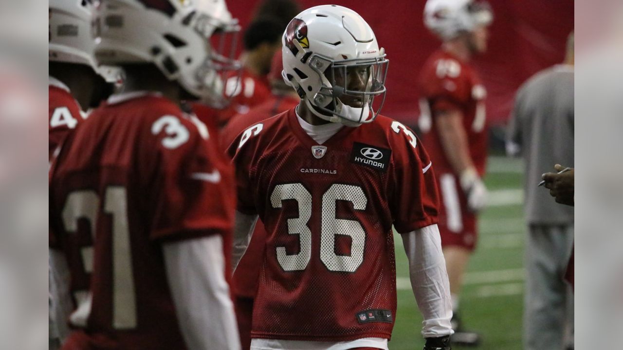 Arizona Cardinals news: TE Ricky Seals-Jones making the most of his  opportunities