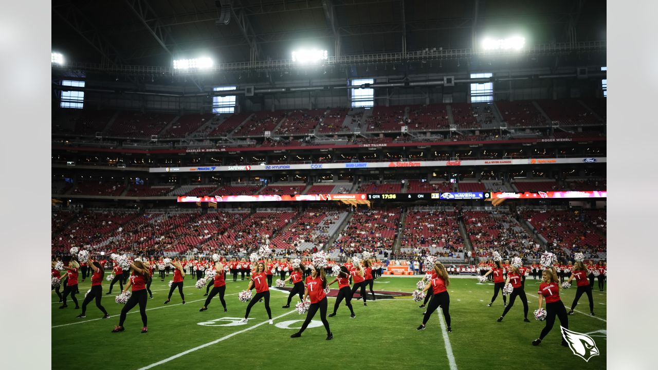 Section 105 at State Farm Stadium 