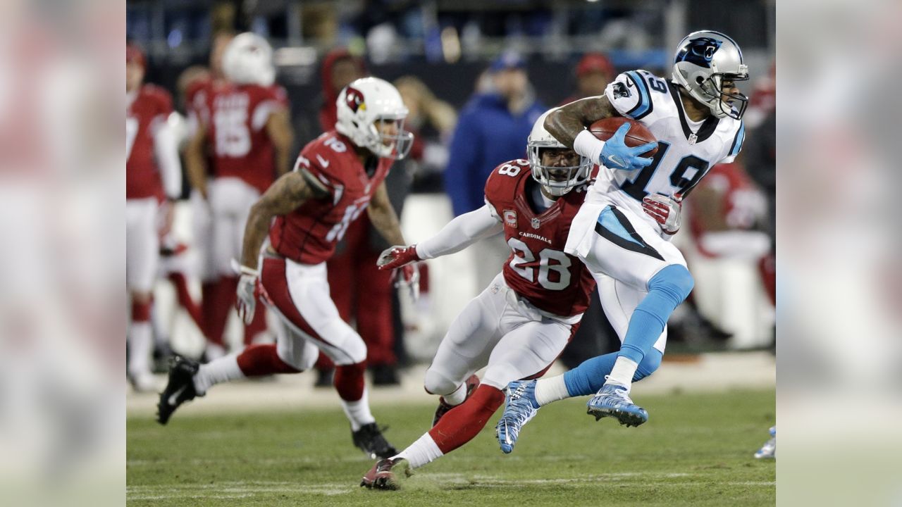 NFC Championship Cardinals at Panthers injury report - The Phinsider