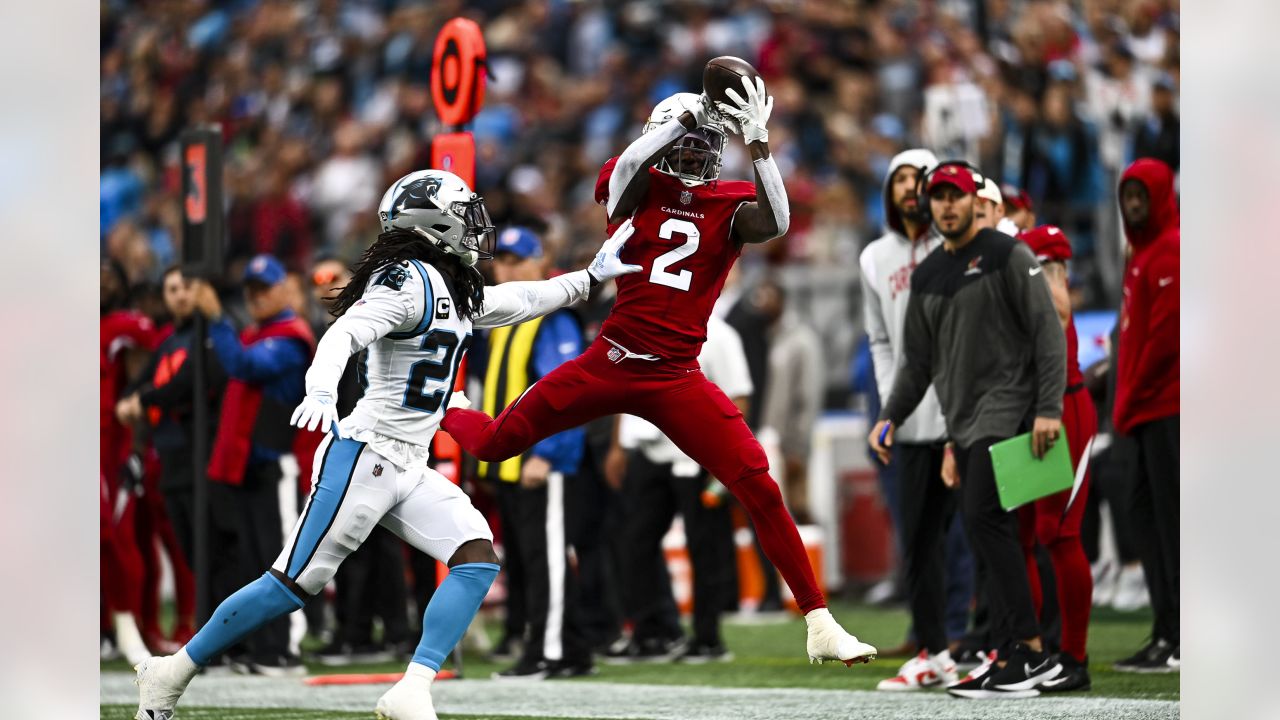 Arizona Cardinals cornerback Byron Murphy Jr. defends against the Carolina  Panthers during an NFL football game in Charlotte, N.C., Sunday, Oct. 2,  2022. (AP Photo/Nell Redmond Stock Photo - Alamy