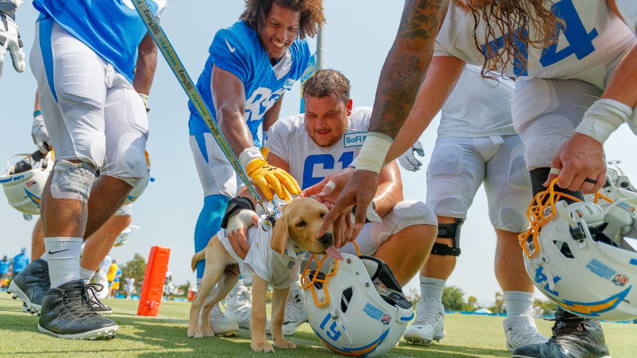 learn more about Bolt's friends - Los Angeles Chargers