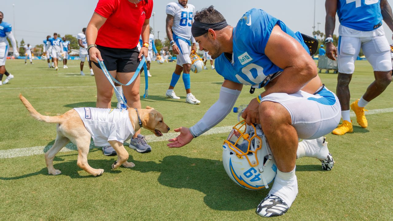 The Los Angeles Chargers have teamed up with Canine Companions for  Independence to follow a puppy named Bolt on his journey to becoming an  assistance dog.