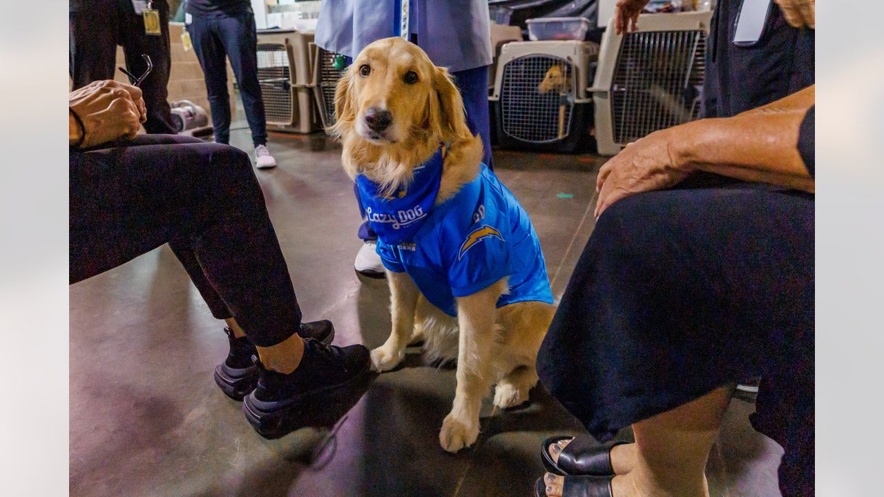 Introducing River, the newest Chargers Pup in partnership with