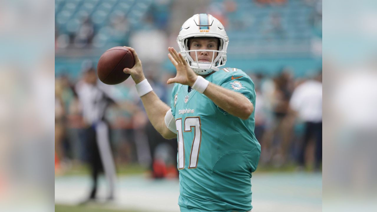 East Rutherford, New Jersey, USA. 1st Dec, 2014. Miami Dolphins quarterback  Ryan Tannehill (17) in action during the NFL game between the Miami Dolphins  and the New York Jets at MetLife Stadium