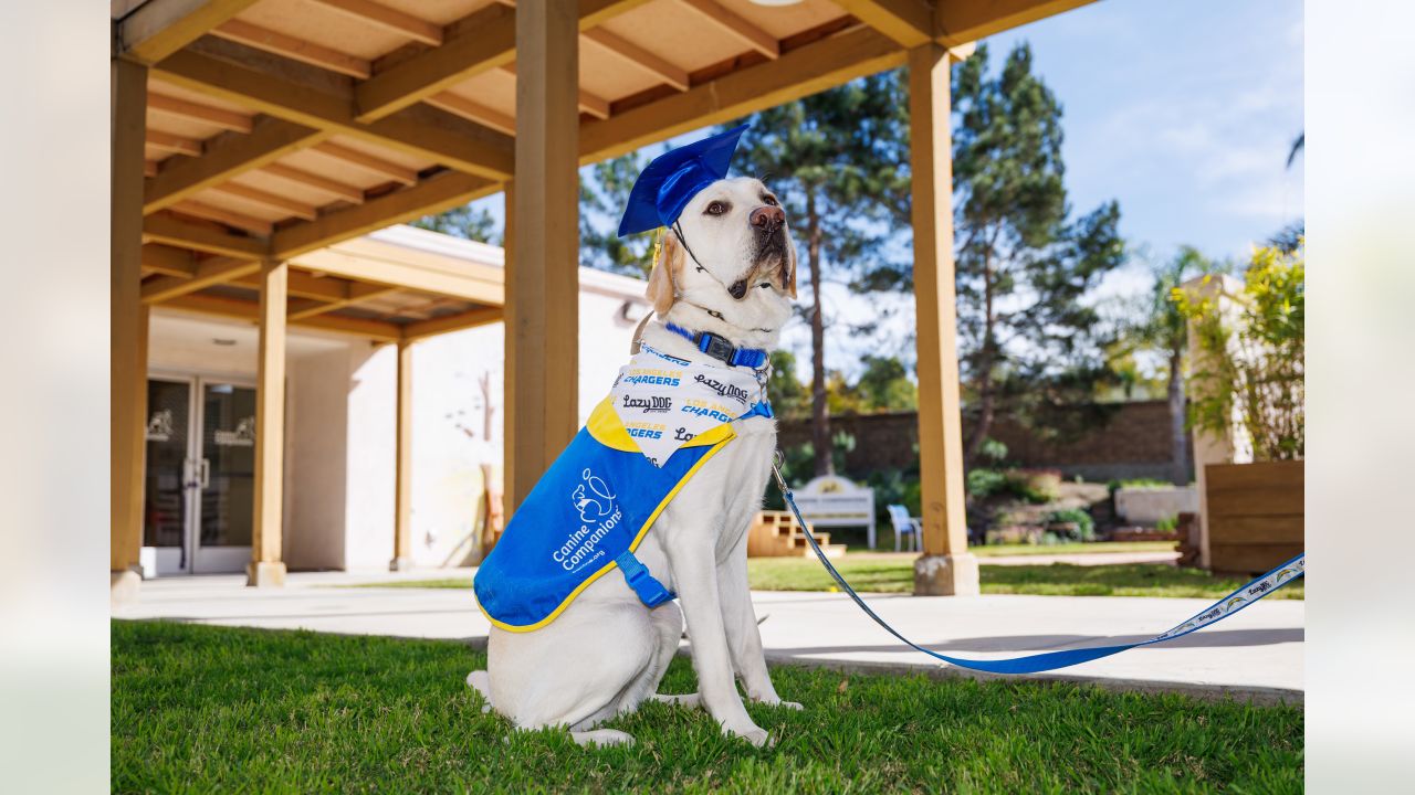 Canine Companions, Los Angeles Chargers Welcome Second Puppy - Canine  Companions