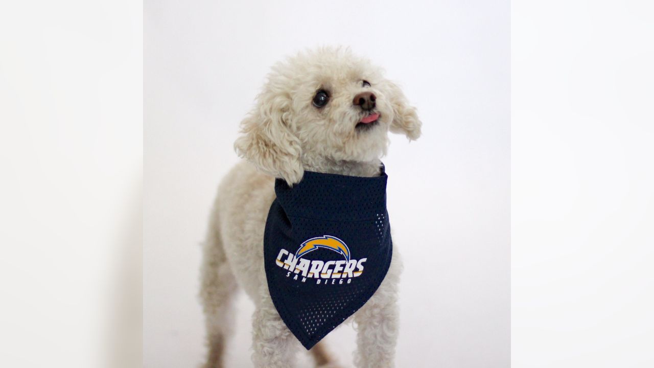 chargers dog sweater