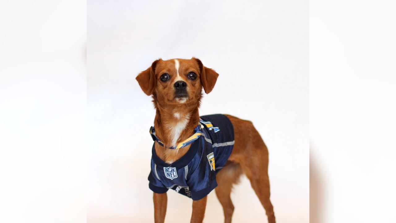 NFL LOS ANGELES CHARGERS DOG Jersey, Medium