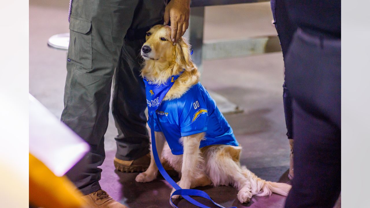 Los Angeles Chargers Running Dog Costume