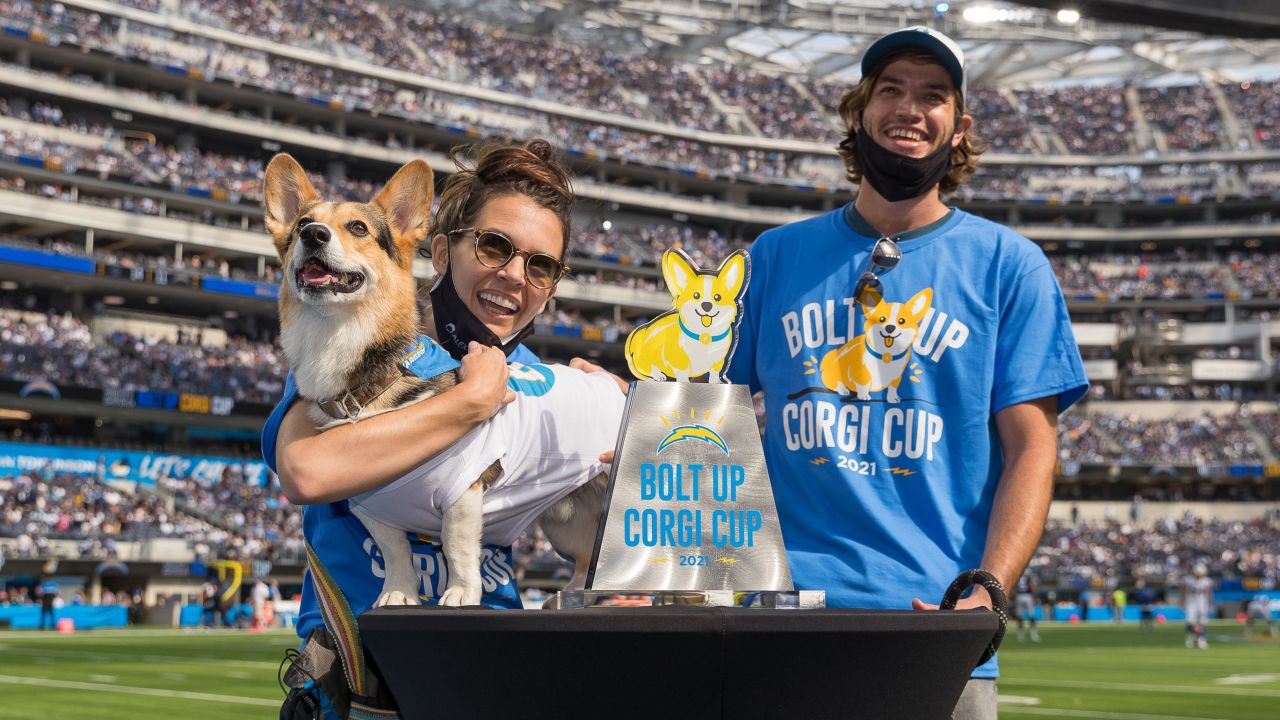 Chargers Host Corgi Cup During NFL Halftime