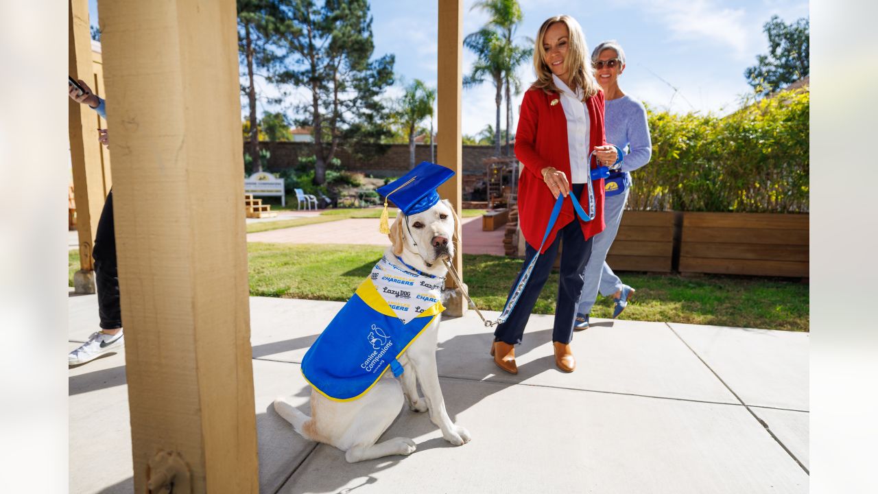 Canine Companions, Los Angeles Chargers Welcome Second Puppy - Canine  Companions