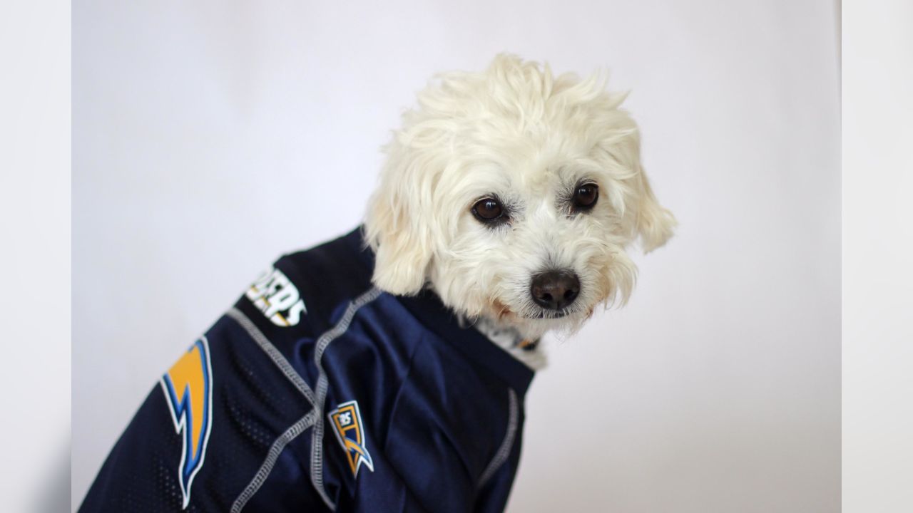 Dog Draft Hits Home for Chargers Organization