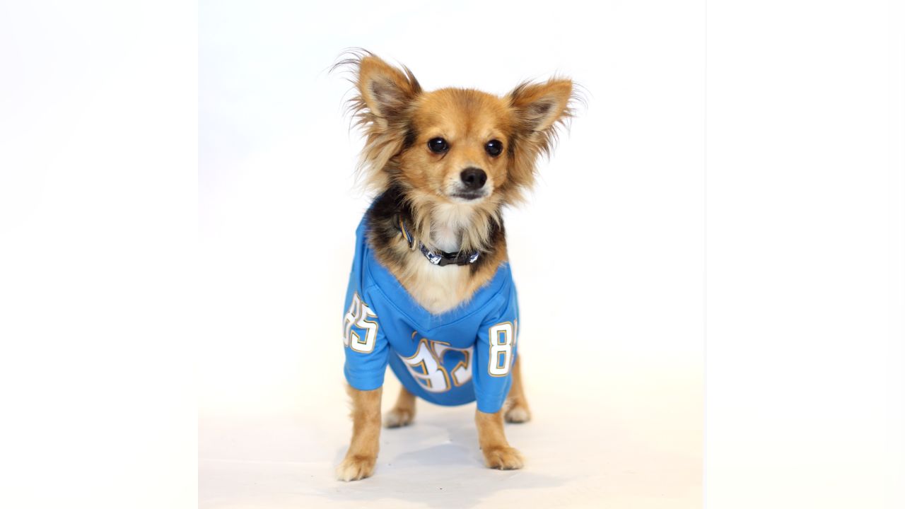 Chargers Spreading Awareness About Dog Rescue through Dog Draft