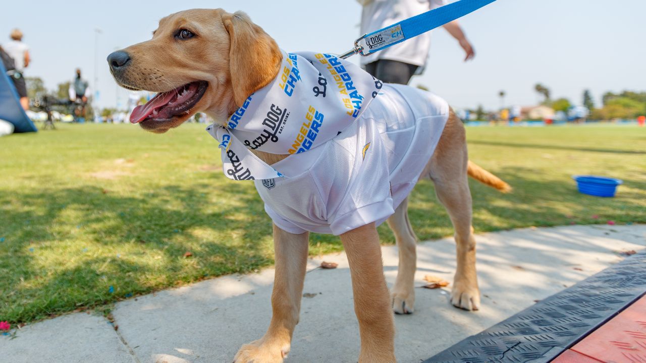 Bolt Visits Training Camp 