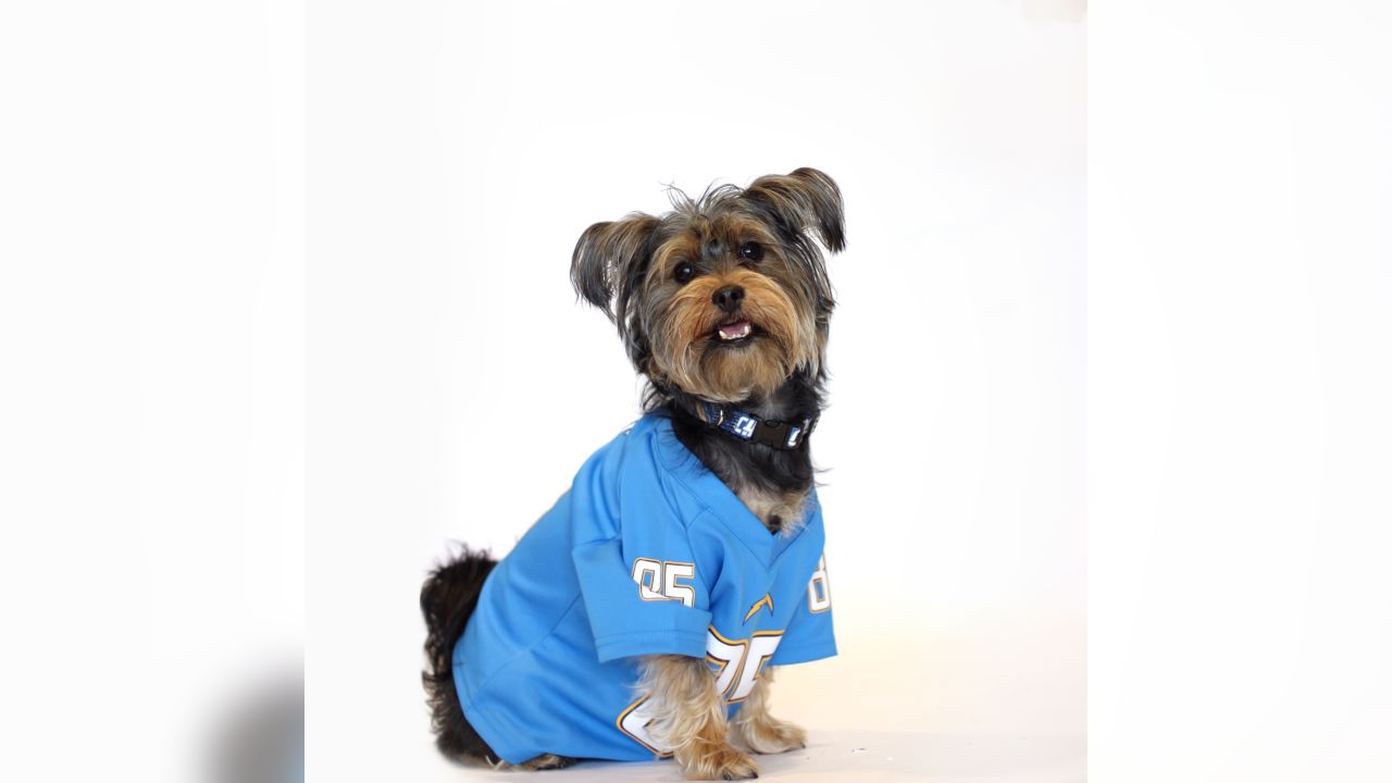 Chargers Spreading Awareness About Dog Rescue through Dog Draft