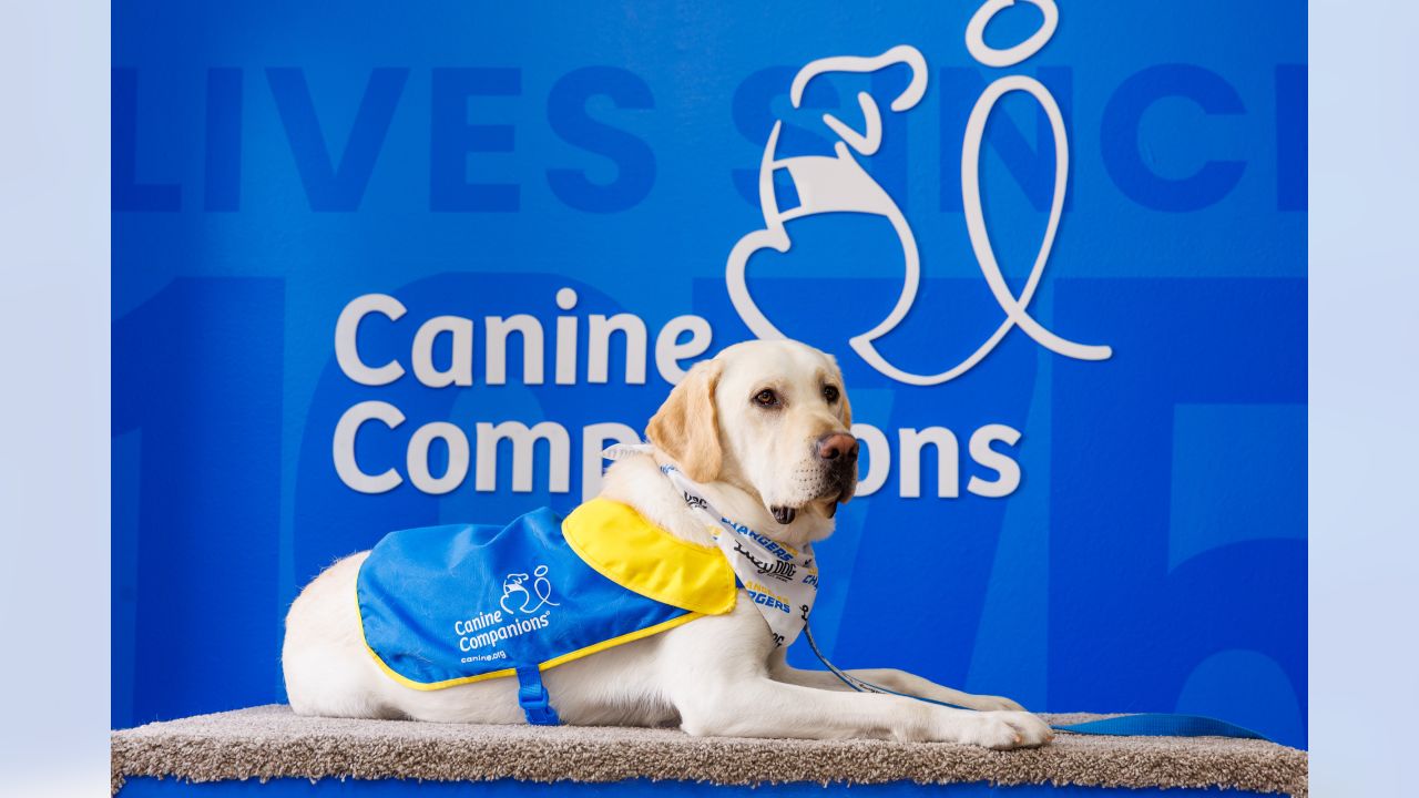 Canine Companions, Los Angeles Chargers Welcome Second Puppy - Canine  Companions