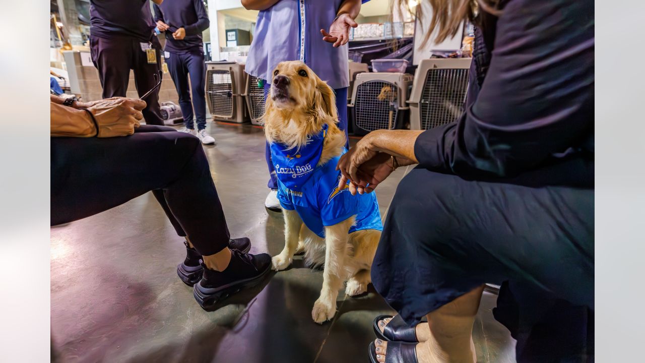 Introducing River, the newest Chargers Pup in partnership with