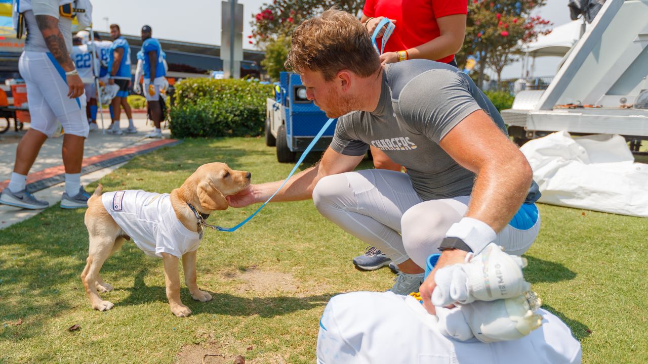 The Los Angeles Chargers have teamed up with Canine Companions for  Independence to follow a puppy named Bolt on his journey to becoming an  assistance dog.