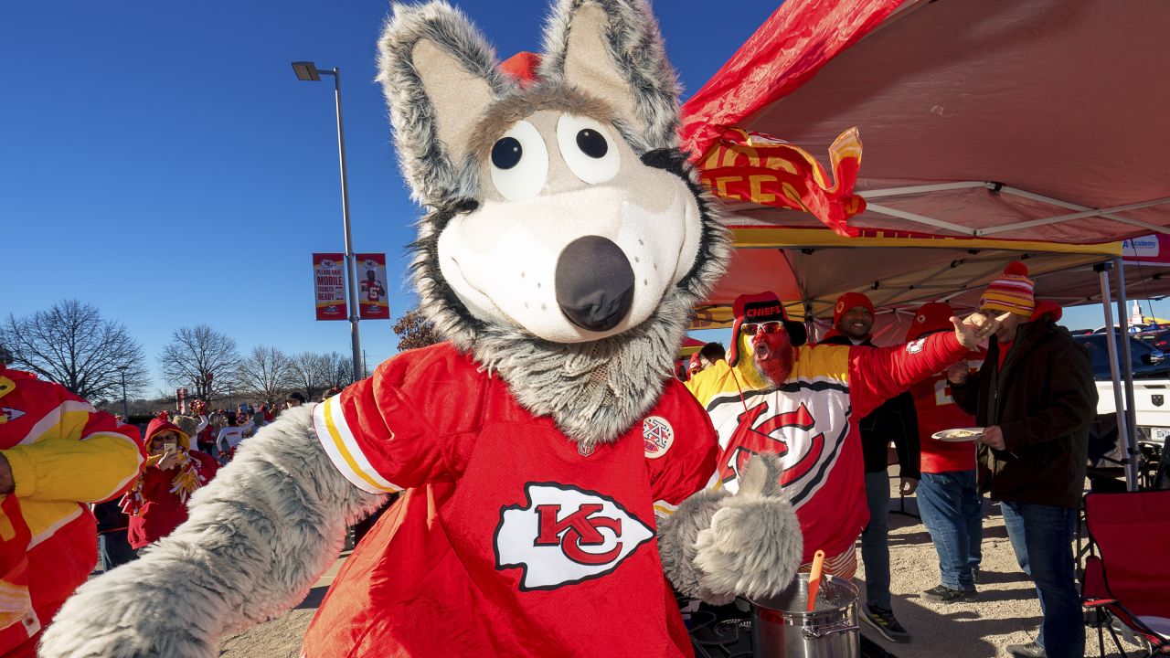 Kansas City, MO, USA. 14th Dec, 2014. Kansas City Chiefs mascot KC Wolf  sits with Oakland Raiders fans during the NFL game between the Oakland  Raiders and the Kansas City Chiefs at