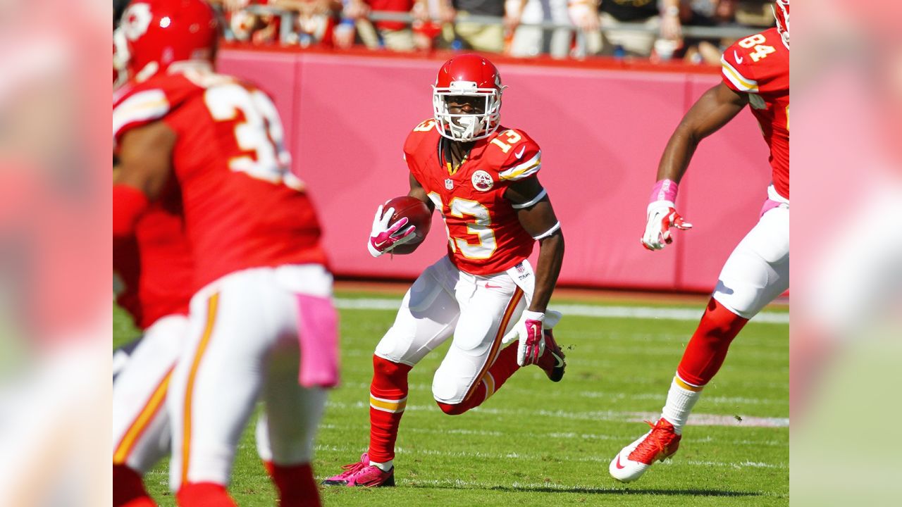 2014 Chiefs Positional Review: the Running Backs
