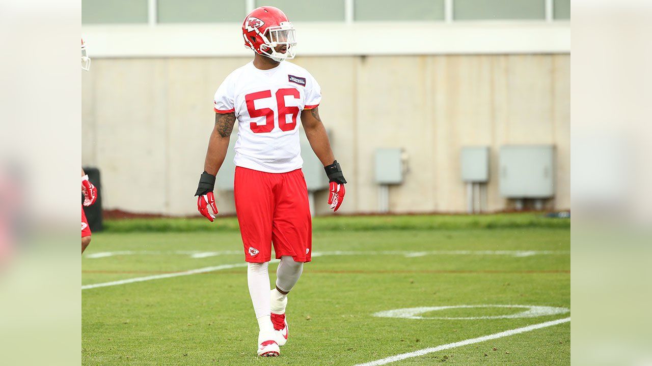 Derrick Johnson's Pro Bowl jersey and pants