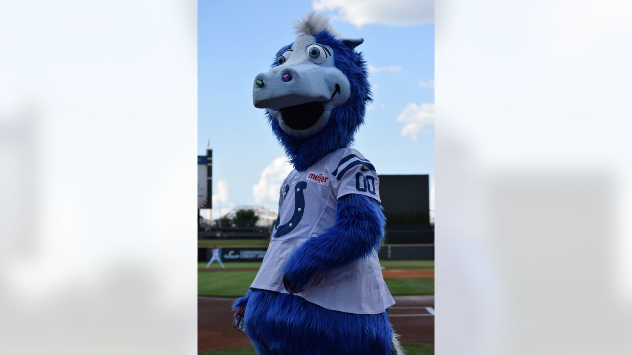 Colts to Visit Louisville Slugger Field For Colts At Bat This Friday