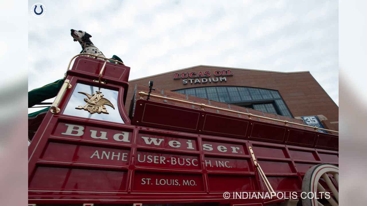 PHOTOS: The World Famous Anheuser Busch Clydesdales Visit Lucas Oil Stadium