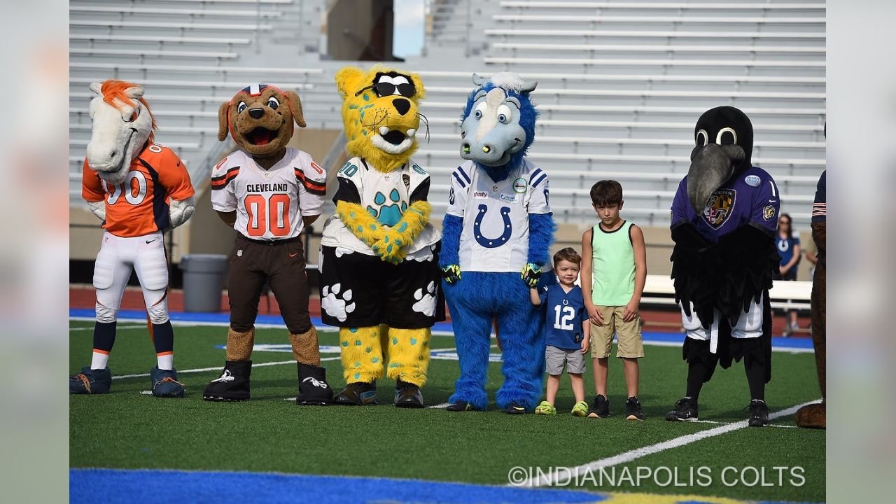 All 32 Nfl Mascots