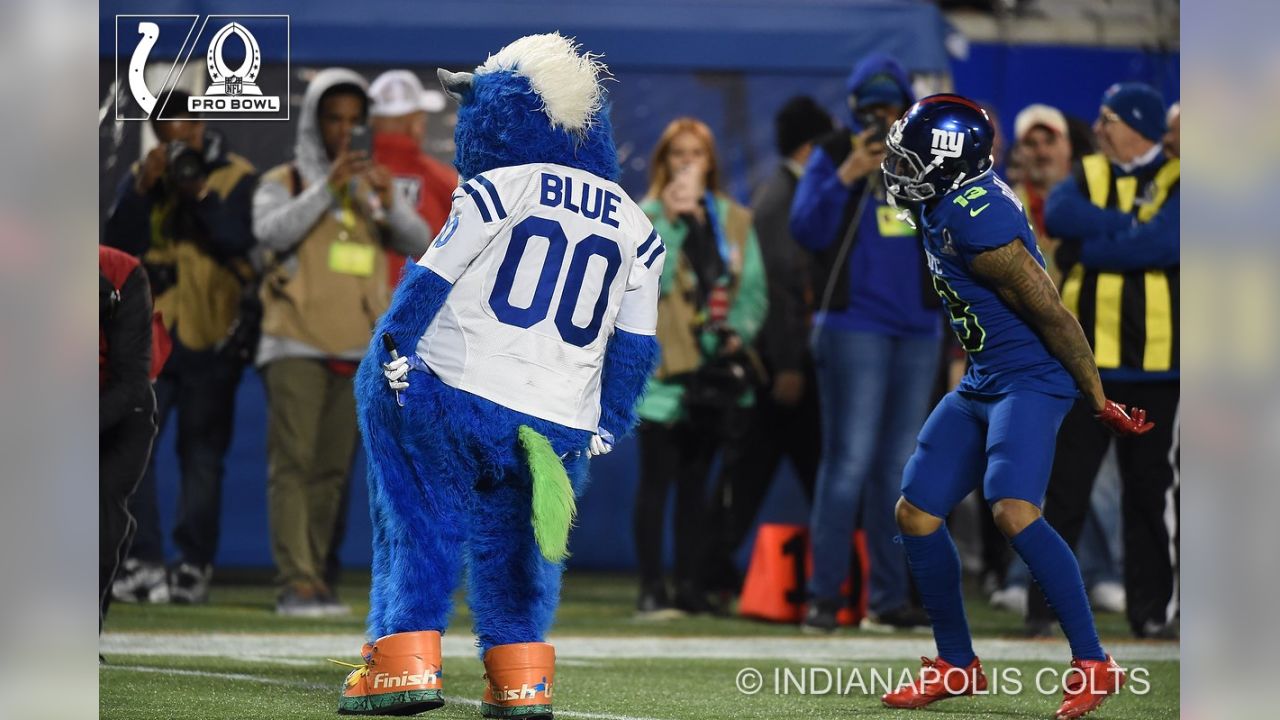 2017 NFL Pro Bowl - Game Day - BLUE