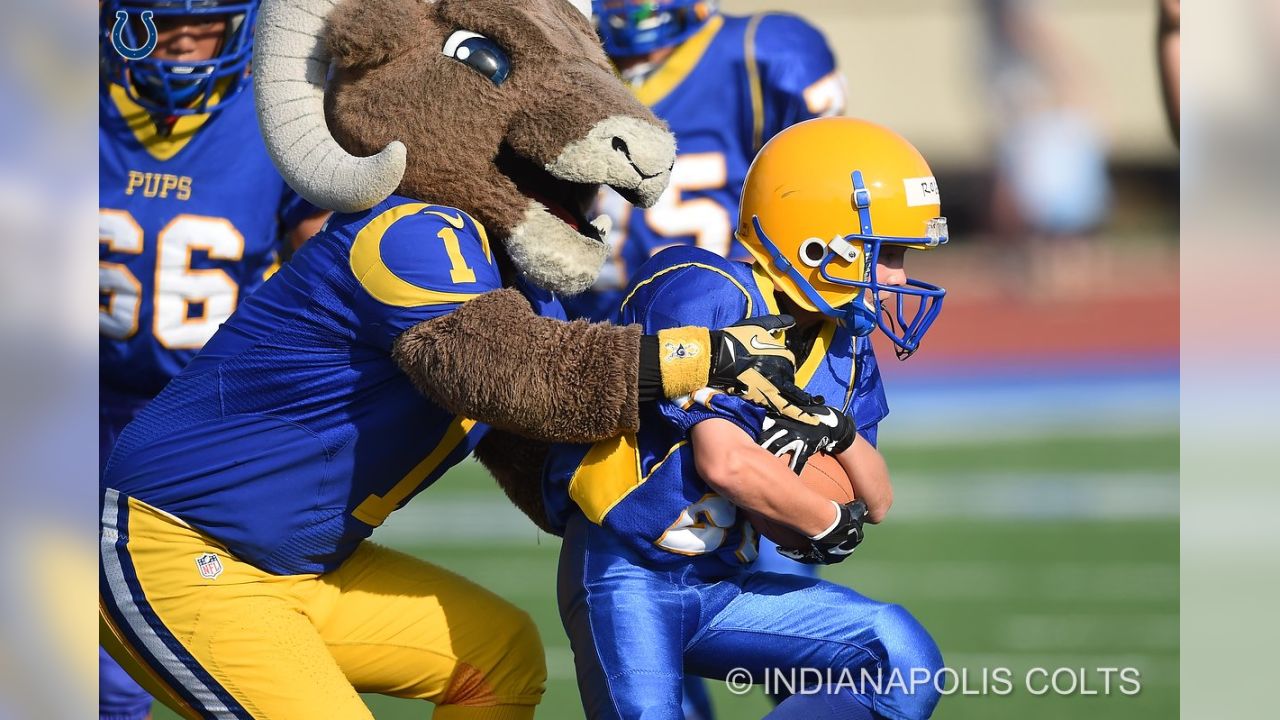 NFL Mascots take on pee-wee football players