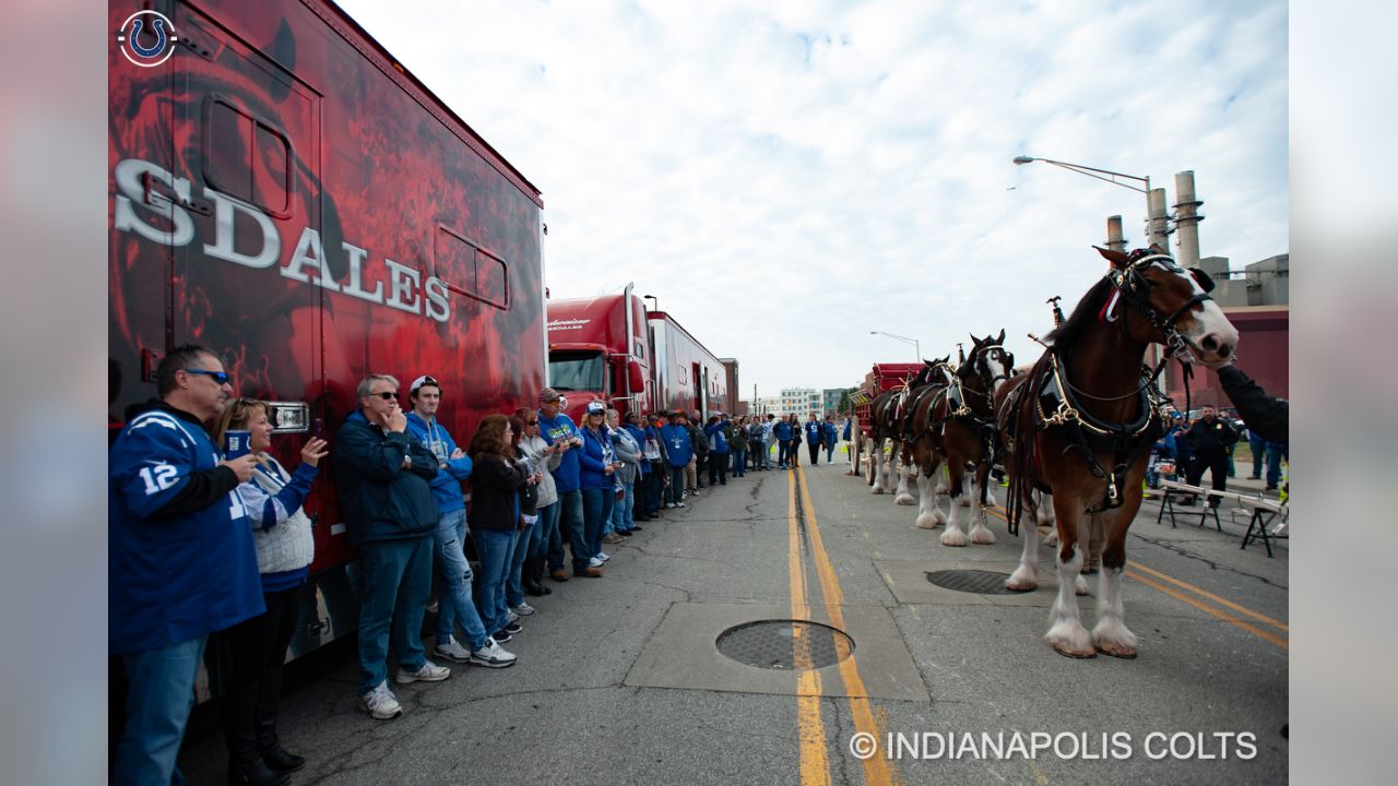 PHOTOS: The World Famous Anheuser Busch Clydesdales Visit Lucas Oil Stadium