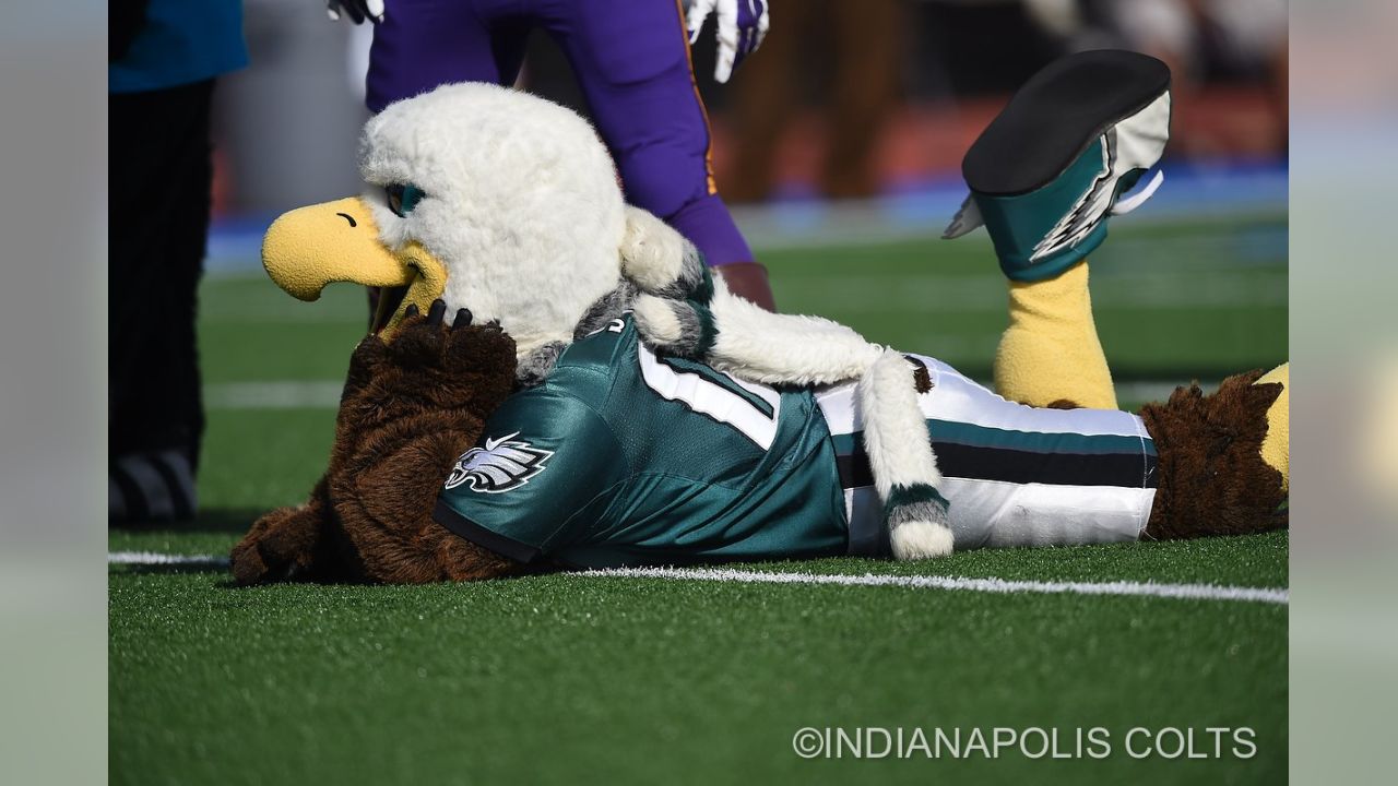 The Philadelphia Eagles mascot, Swoop, performs prior to an NFL