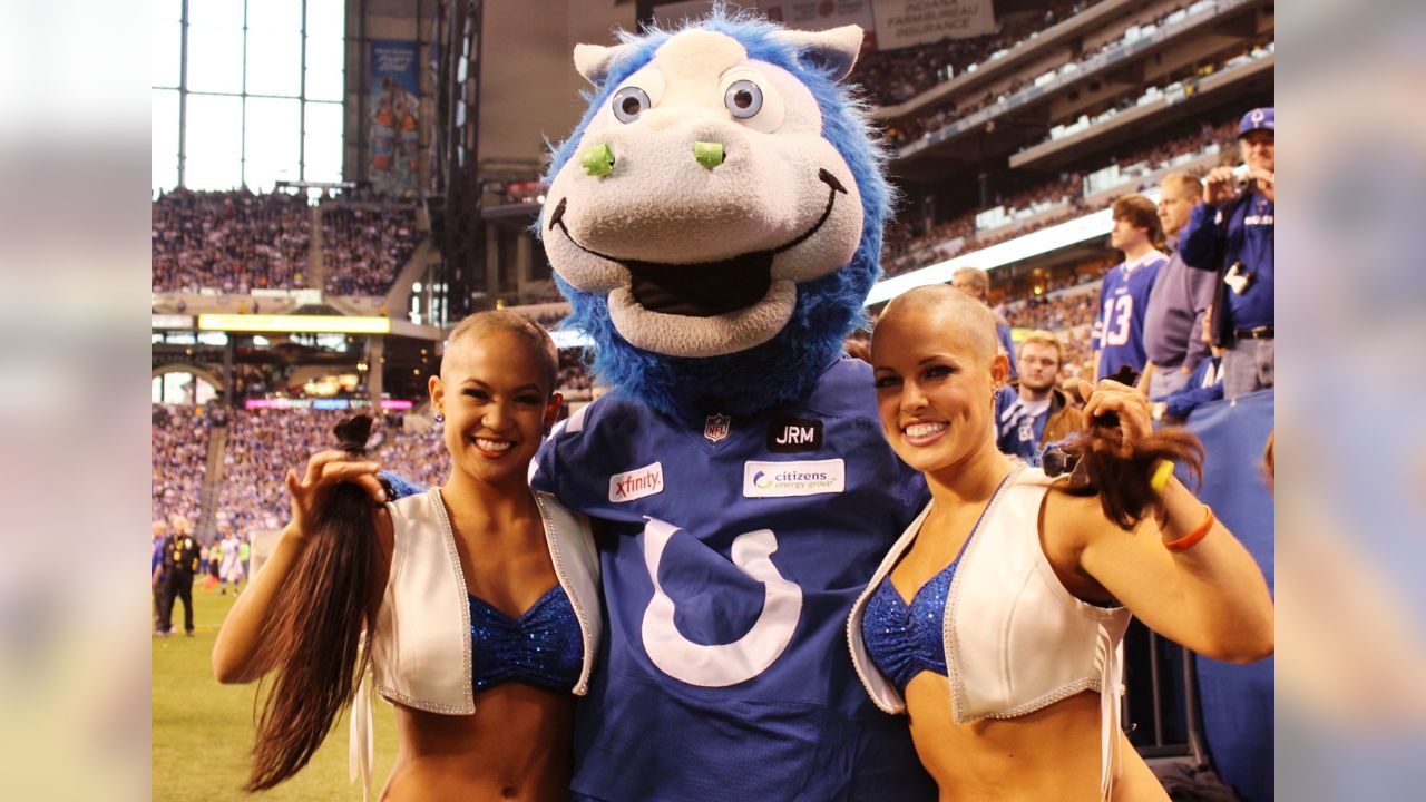 Colts cheerleaders shave their heads to raise funds for leukemia research