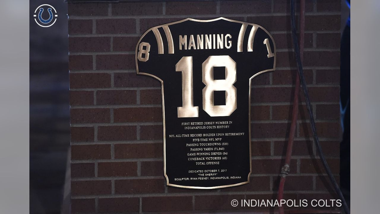 Indianapolis Colts This Team Makes Me Drink T-Shirt | Funny Jersey Manning  Indy