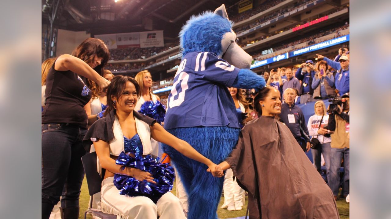 Indianapolis Colts Cheerleaders shave heads for a cause! - Science  Cheerleaders