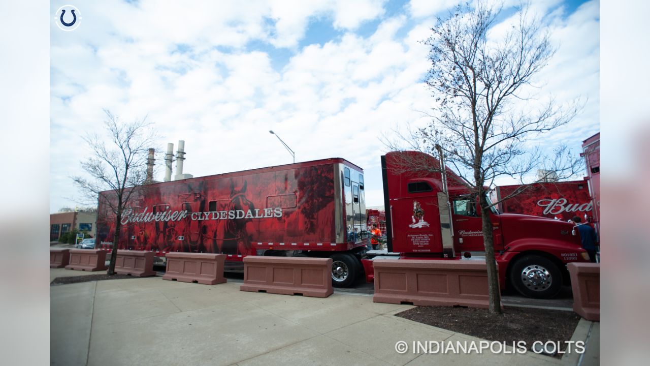 PHOTOS: The World Famous Anheuser Busch Clydesdales Visit Lucas Oil Stadium