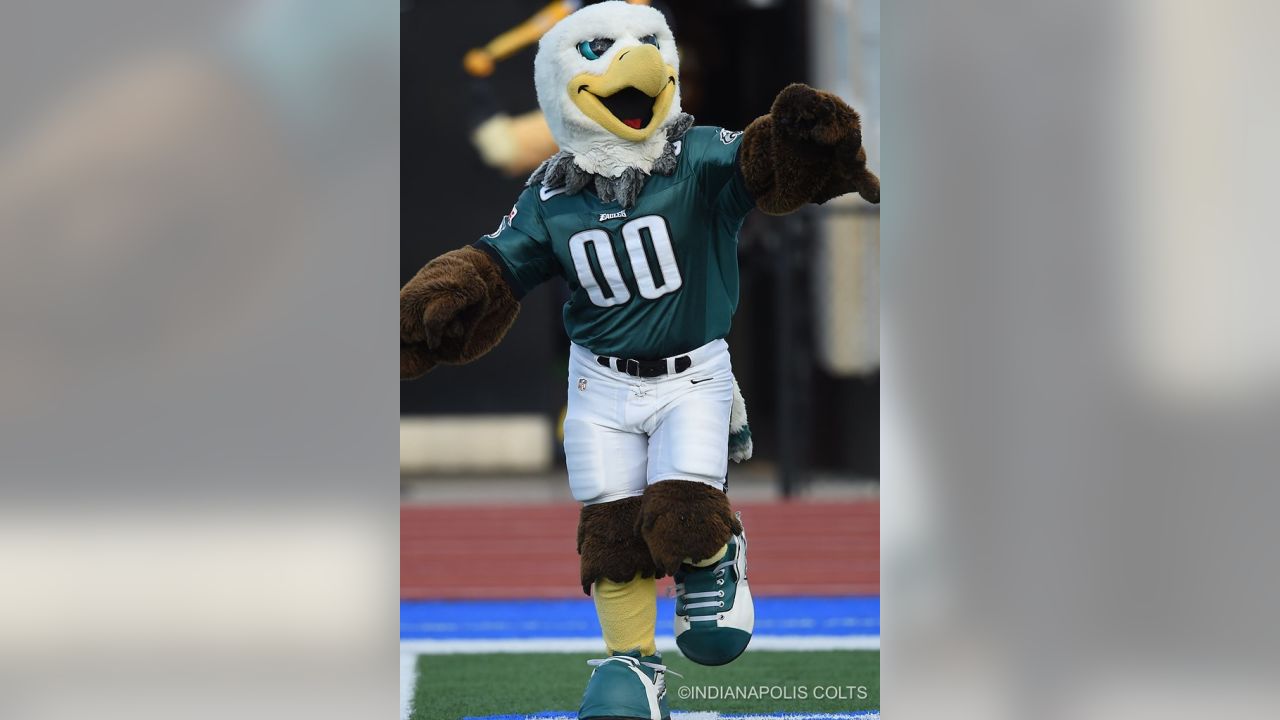 swoop philadelphia eagles mascot｜TikTok Search