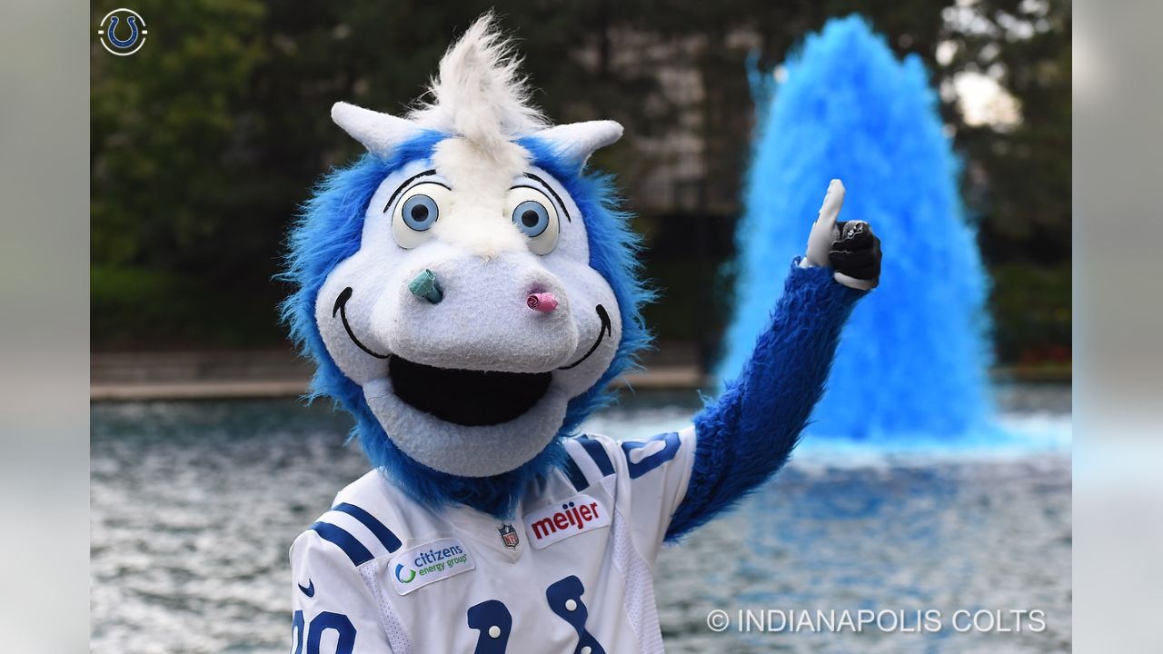 Blue Indianapolis Colts Mascot - Check this out! Leslie wore @colts gear to  @meijerstores and now she's going home with tickets to Sunday's game versus  the Raiders! Wear Colts gear when you